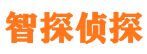 任城市私家侦探